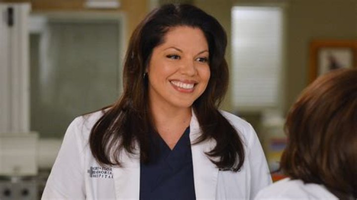 ABC medical drama that starred Sara Ramirez as bisexual character Callie Torres: 2 wds.