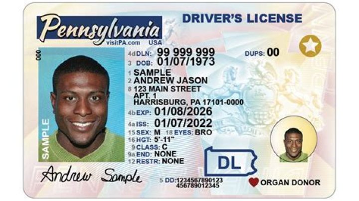 Drivers' licenses passports and the like: Abbr.