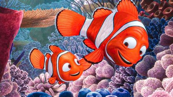 Finding ___ (2003 movie about a lost fish)
