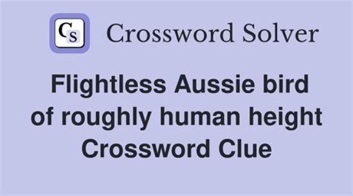 Flightless Aussie bird of roughly human height