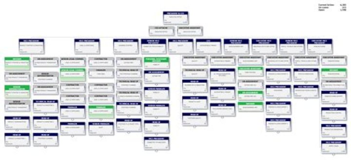 Set up as a business organization