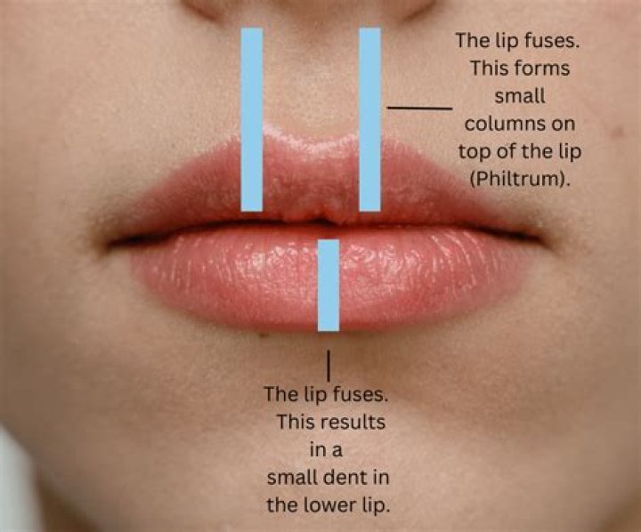 Stick your lower lip out moodily