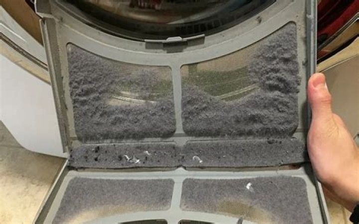 Stuff you clean from a dryer trap