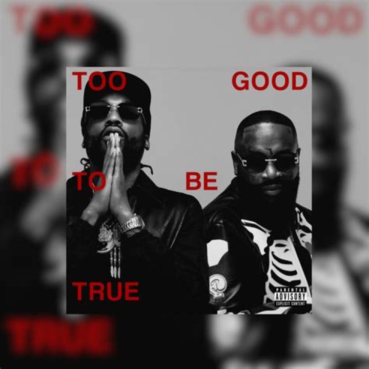 You are ___ good to be true.